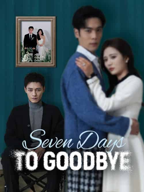 Seven Days to Goodbye（45集全）Jake＆Grant＆＆Rena＆Jonas - 紫橙短剧