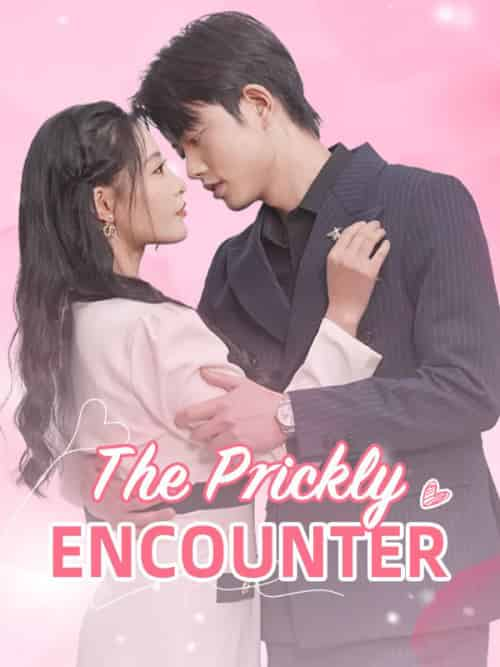 The Prickly Encounter（94集）Sue＆Charlton＆＆Lincoln＆Chadwick - 紫橙短剧