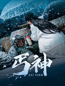 丐神（90集全） - 紫橙短剧