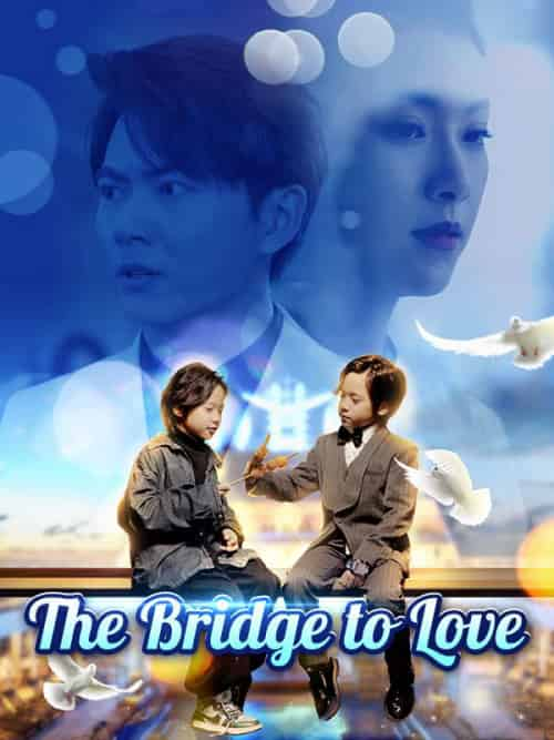 The Bridge to Love（80集全）Jay＆Irwin＆＆Amber＆Clark - 紫橙短剧