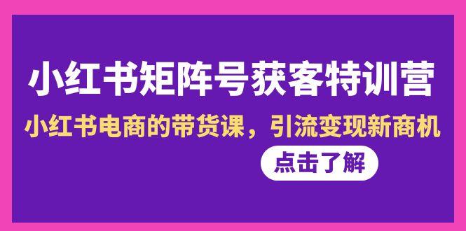 小红书-矩阵号获客特训营-第10期，小红书电商的带货课，引流变现新商机 - 中创网