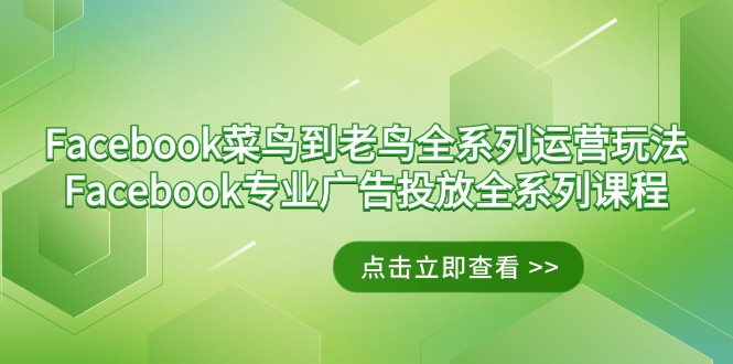 Facebook-菜鸟到老鸟全系列运营玩法+Facebook-专业广告投放全系列课程 - 中创网