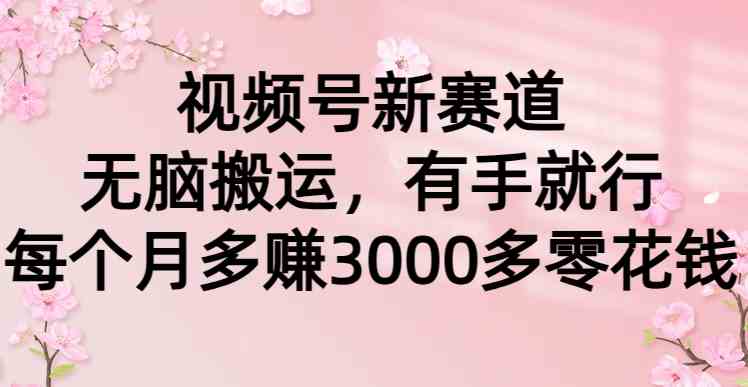 视频号新赛道，无脑搬运，有手就行，每个月多赚3000多零花钱 - 中创网