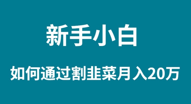 新手小白如何通过割韭菜月入 20W - 中创网