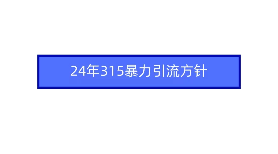 2024年315暴力引流方针 - 中创网