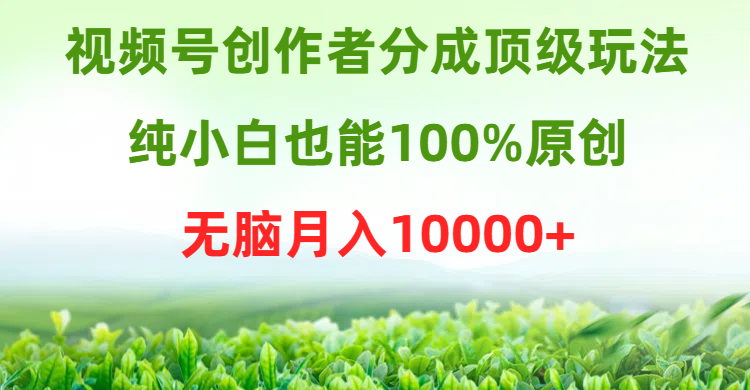 视频号创作者分成顶级玩法，纯小白也能100%原创，无脑月入10000+ - 中创网