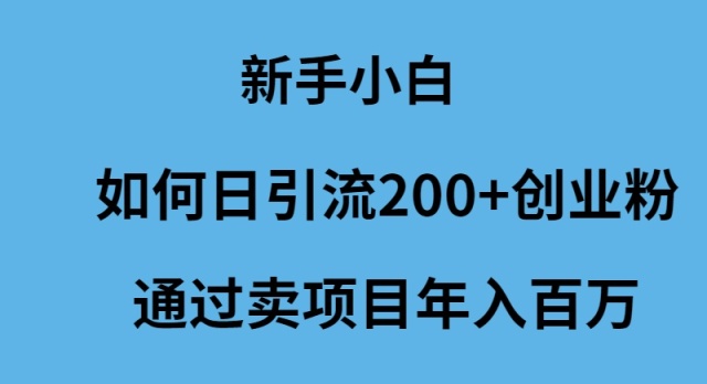 新手小白如何日引流200+创业粉通过卖项目年入百万 - 中创网