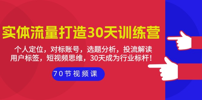 实体-流量打造-30天训练营：个人定位，对标账号，选题分析，投流解读-70节 - 中创网