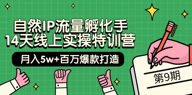 自然IP流量孵化手 14天线上实操特训营【第9期】月入5w+百万爆款打造 (74节) - 中创网