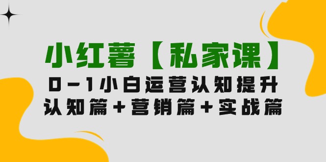 小红薯【私家课】0-1玩赚小红书内容营销，认知篇+营销篇+实战篇（11节课） - 中创网