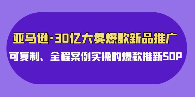 亚马逊30亿·大卖爆款新品推广，可复制、全程案例实操的爆款推新SOP - 中创网