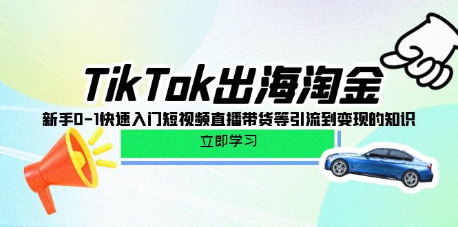 TikTok-出海淘金，新手0-1快速入门短视频直播带货等引流到变现的知识 - 中创网