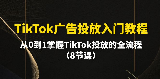 TikTok广告投放入门教程，从0到1掌握TikTok投放的全流程（8节课） - 中创网