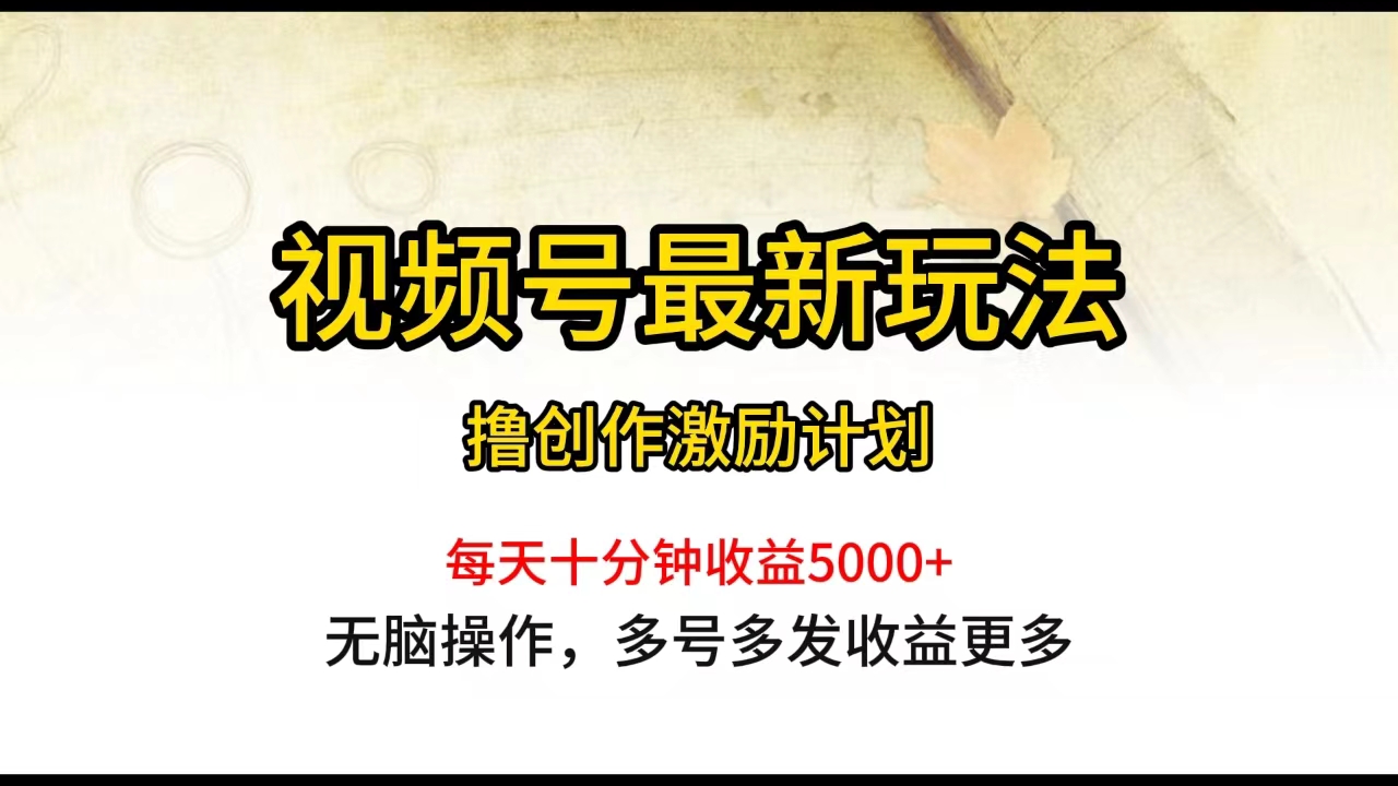 视频号最新玩法，每日一小时月入5000+ - 中创网