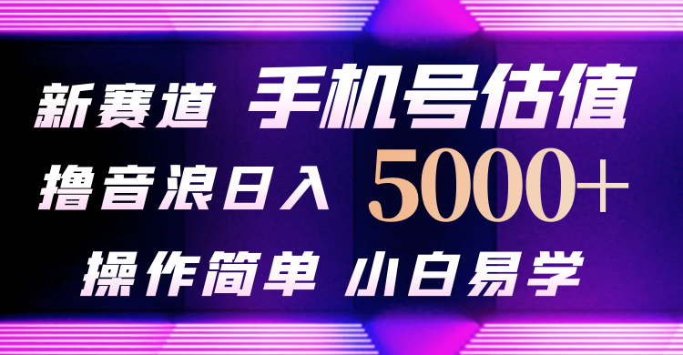 抖音不出境直播【手机号估值】最新撸音浪，日入5000+，简单易学，适合... - 中创网