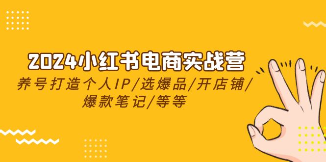 2024小红书电商实战营，养号打造IP/选爆品/开店铺/爆款笔记/等等（24节） - 中创网