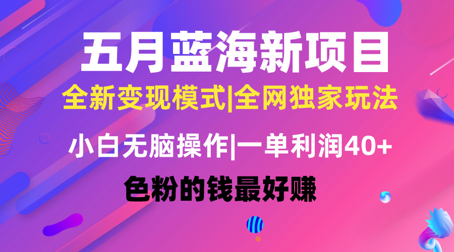 五月蓝海项目全新玩法，小白无脑操作，一天几分钟，矩阵操作，月入4万+ - 中创网