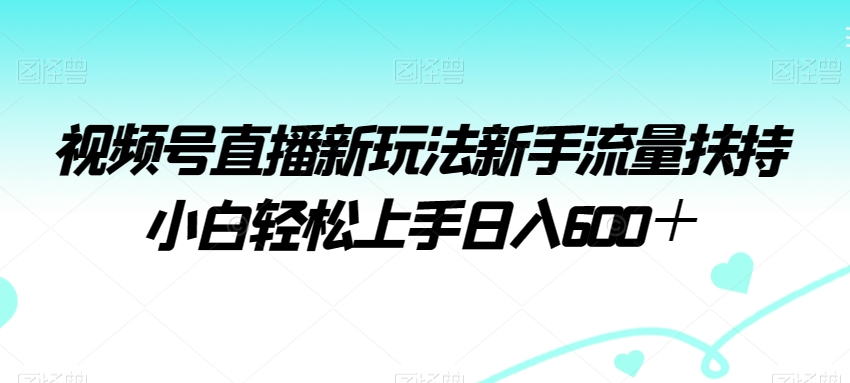 视频号直播新玩法新手流量扶持小白轻松上手日入600＋ - 冒泡网