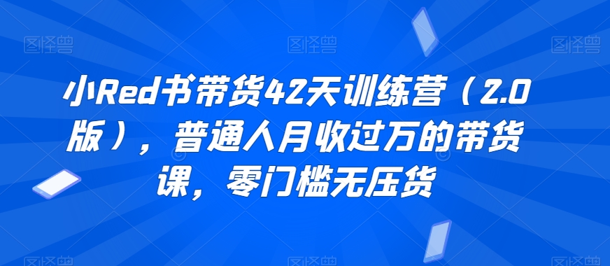 小Red书带货42天训练营（2.0版），普通人月收过万的带货课，零门槛无压货 - 冒泡网