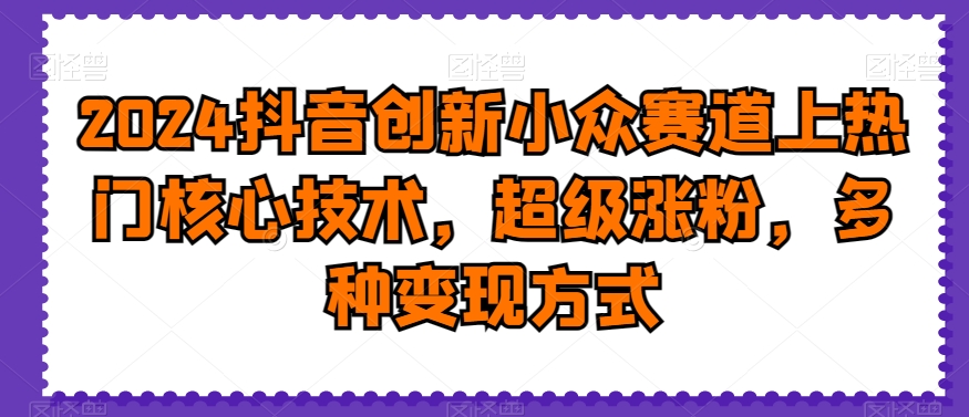 2024抖音创新小众赛道上热门核心技术，超级涨粉，多种变现方式 - 冒泡网