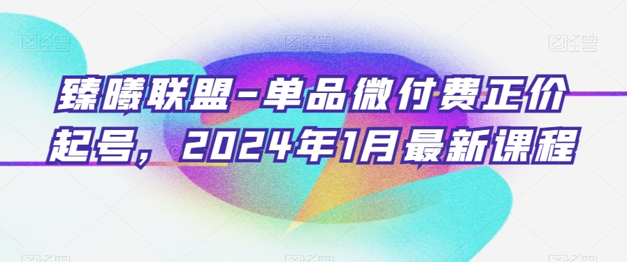 臻曦联盟-单品微付费正价起号，2024年1月最新课程 - 冒泡网