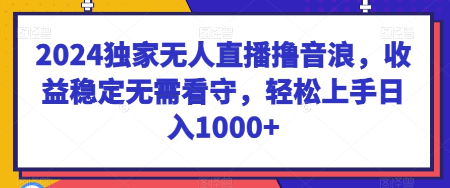 2024独家无人直播撸音浪，收益稳定无需看守，轻松上手日入1000+ - 冒泡网