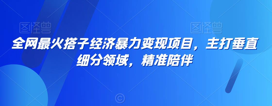 全网最火搭子经济暴力变现项目，主打垂直细分领域，精准陪伴 - 冒泡网