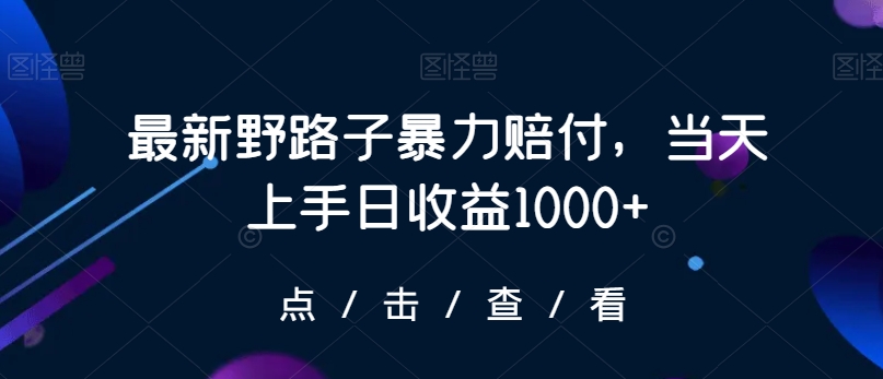 最新野路子暴力赔付，当天上手日收益1000+【仅揭秘】 - 冒泡网