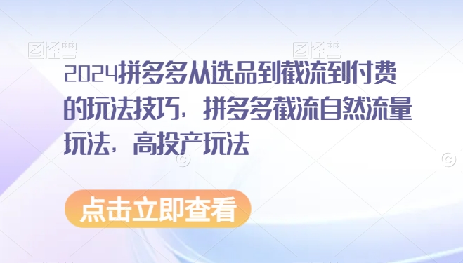 2024拼多多从选品到截流到付费的玩法技巧，拼多多截流自然流量玩法，高投产玩法 - 冒泡网