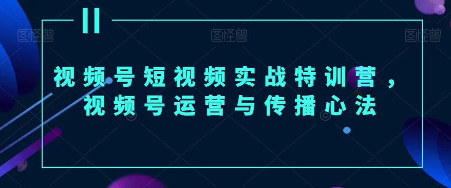 视频号短视频实战特训营，视频号运营与传播心法 - 冒泡网