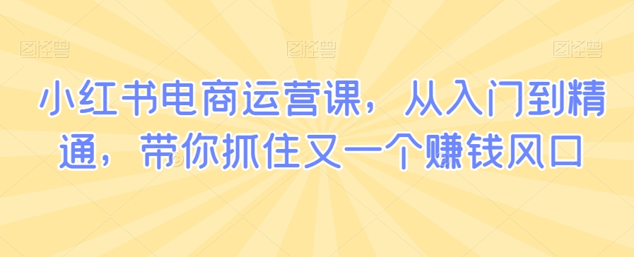 小红书电商运营课，从入门到精通，带你抓住又一个赚钱风口 - 冒泡网