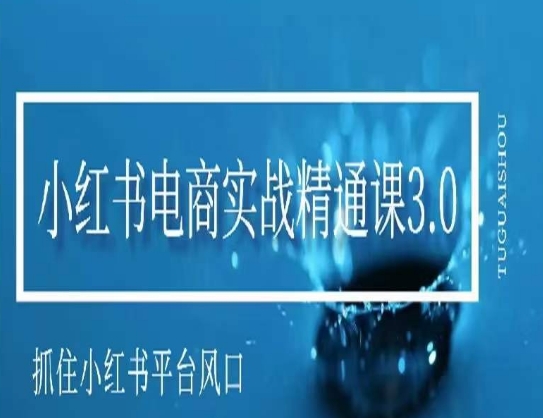 小红书电商实战精通课3.0，抓住小红书平台的风口，不错过有一个赚钱的机会 - 冒泡网