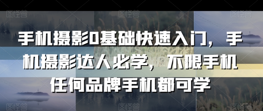 手机摄影0基础快速入门，手机摄影达人必学，不限手机任何品牌手机都可学 - 冒泡网