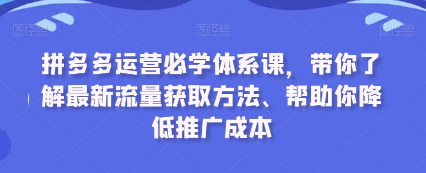 拼多多运营必学体系课，带你了解最新流量获取方法、帮助你降低推广成本 - 冒泡网