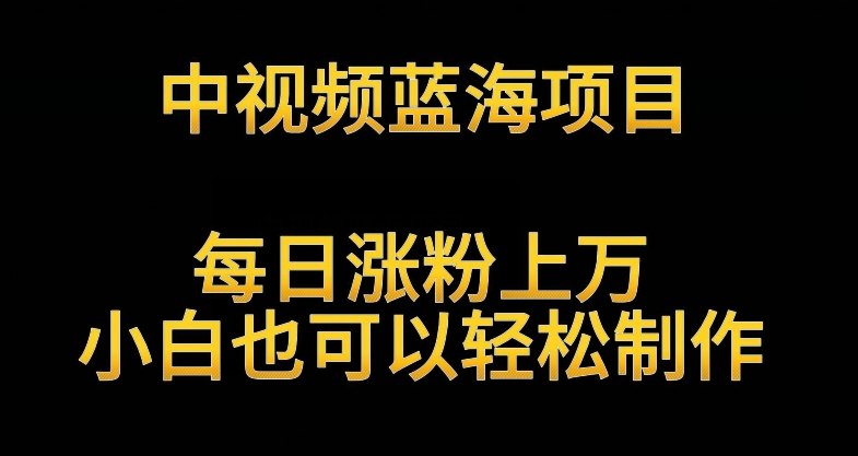 中视频蓝海项目，解读英雄人物生平，每日涨粉上万，小白也可以轻松制作，月入过万不是梦 - 冒泡网