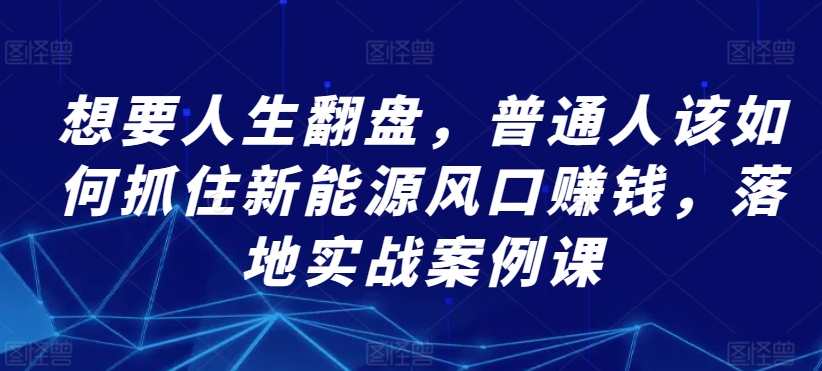 想要人生翻盘，普通人该如何抓住新能源风口赚钱，落地实战案例课 - 冒泡网