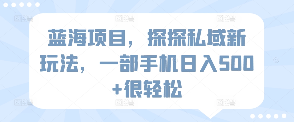 蓝海项目，探探私域新玩法，一部手机日入500+很轻松 - 冒泡网