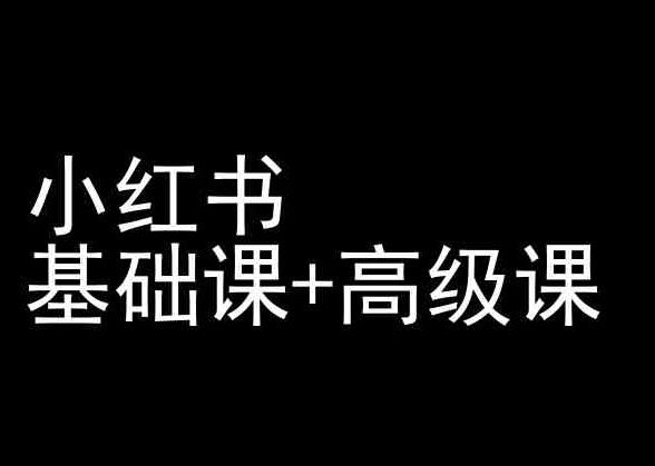 小红书基础课+高级课-小红书运营教程 - 冒泡网