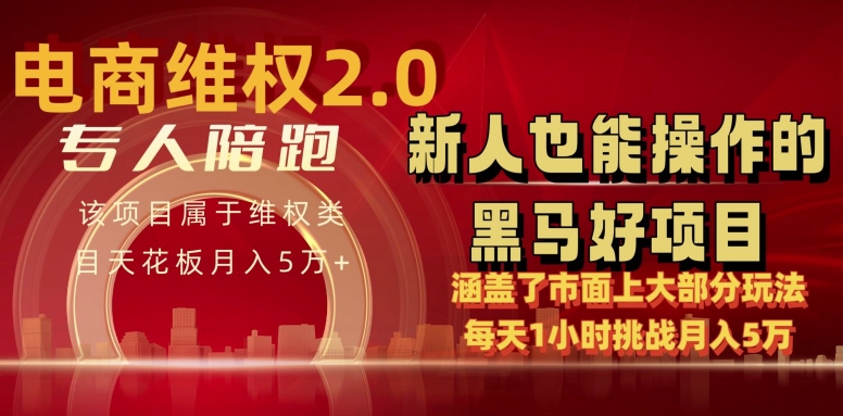 电商维权 4.0 如何做到月入 5 万+每天 1 小时新人也能快速上手【仅揭秘】 - 冒泡网