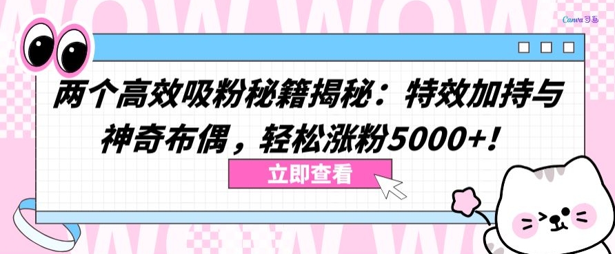 两个高效吸粉秘籍揭秘：特效加持与神奇布偶，轻松涨粉5000+ - 冒泡网