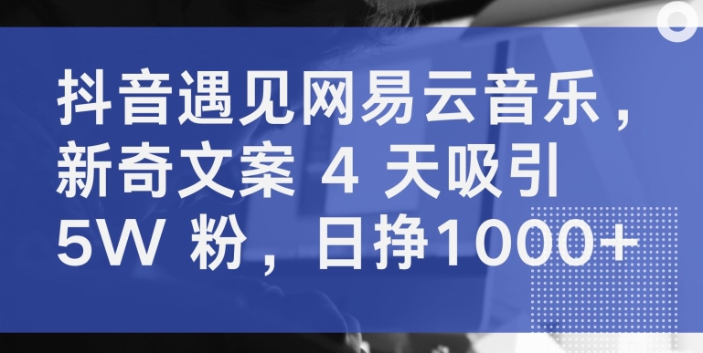 抖音遇见网易云音乐，新奇文案 4 天吸引 5W 粉，日挣1000+ - 冒泡网