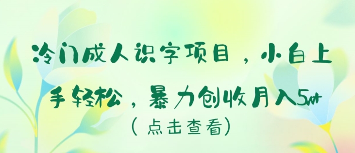 冷门成人识字项目，小白上手轻松，暴力创收月入5w+ - 冒泡网