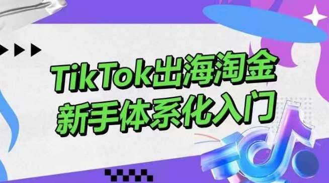 TikTok出海淘金，新手体系化入门，零基础快速入门，掌握短视频、直播带货等引流到变现的知识 - 冒泡网