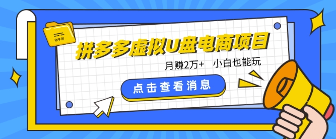 拼多多虚拟U盘电商红利项目：月赚2万+，新手小白也能玩 - 冒泡网