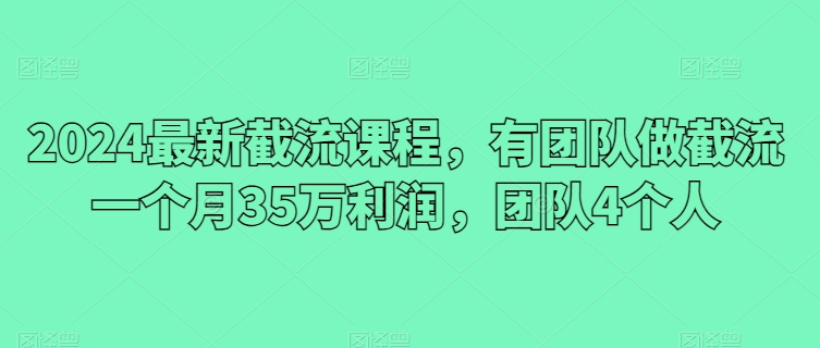 2024最新截流课程，有团队做截流一个月35万利润，团队4个人 - 冒泡网