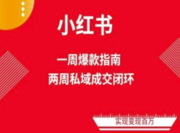 爆款小红书免费流量体系课程(两周变现)，小红书电商教程 - 冒泡网