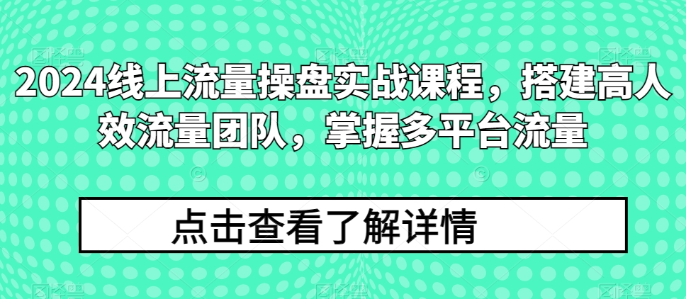 2024线上流量操盘实战课程，搭建高人效流量团队，掌握多平台流量 - 冒泡网