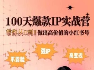 小红书100天爆款IP实战营，带你从0到1做出高价值的小红书号 - 冒泡网