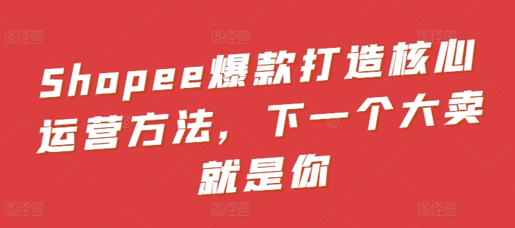 Shopee爆款打造核心运营方法，下一个大卖就是你 - 冒泡网