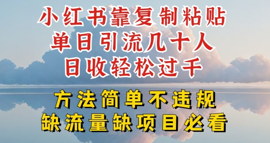 小红书靠复制粘贴单日引流几十人目收轻松过千，方法简单不违规 - 冒泡网